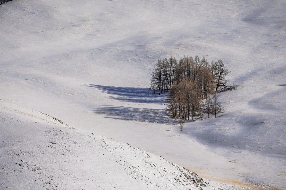 Photograph by Андрей Кузнецов