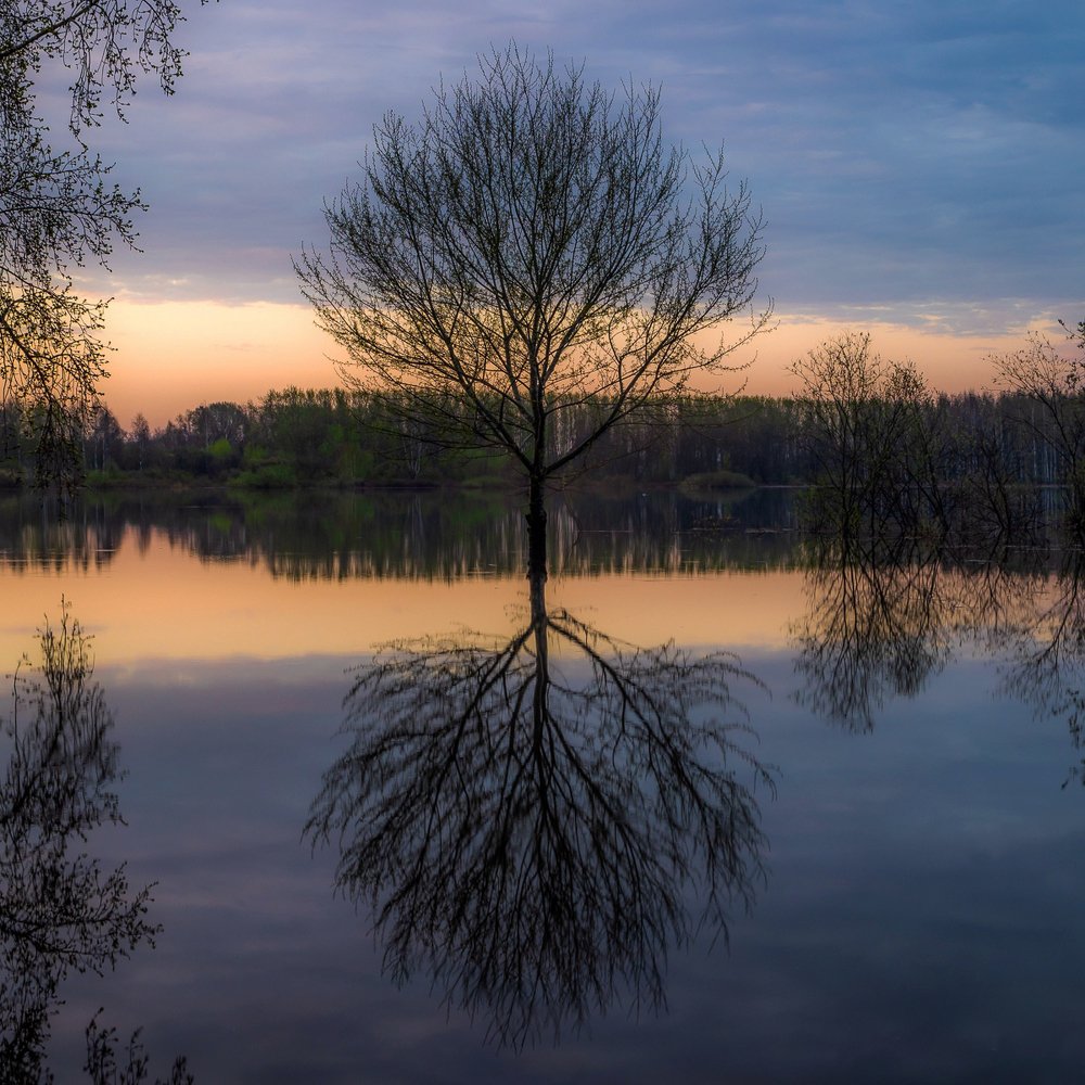 Фотография автора Панагушин Сергей