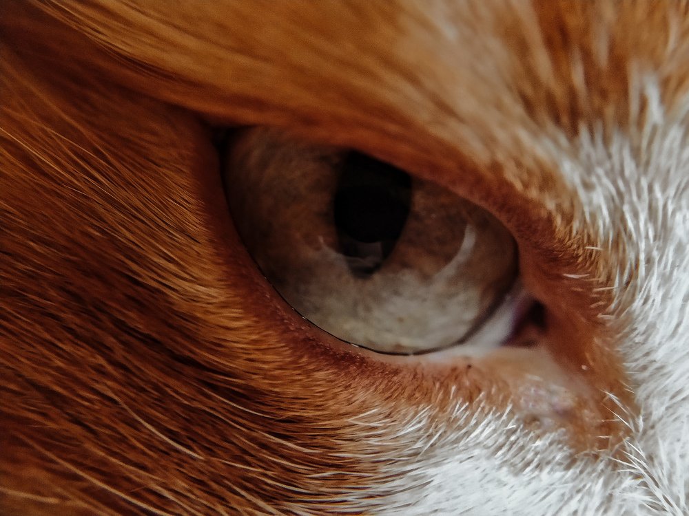 Photograph by Ирина Львова