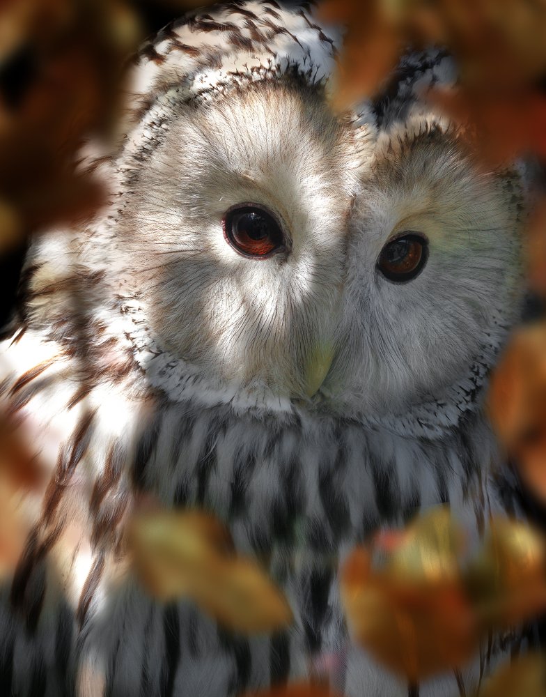 Photograph by Олег Богданов