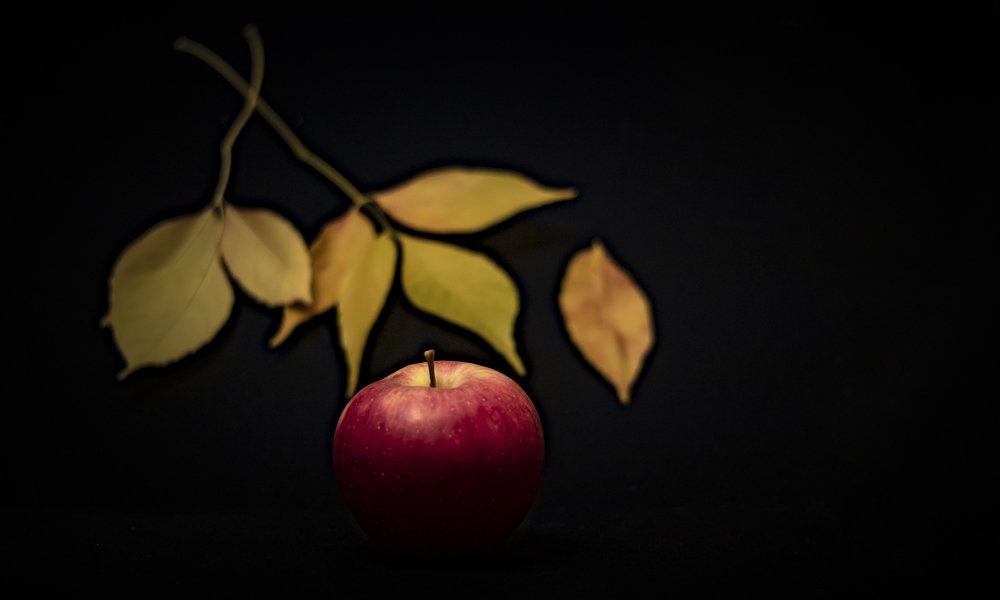 Photograph by Alex Kalpus