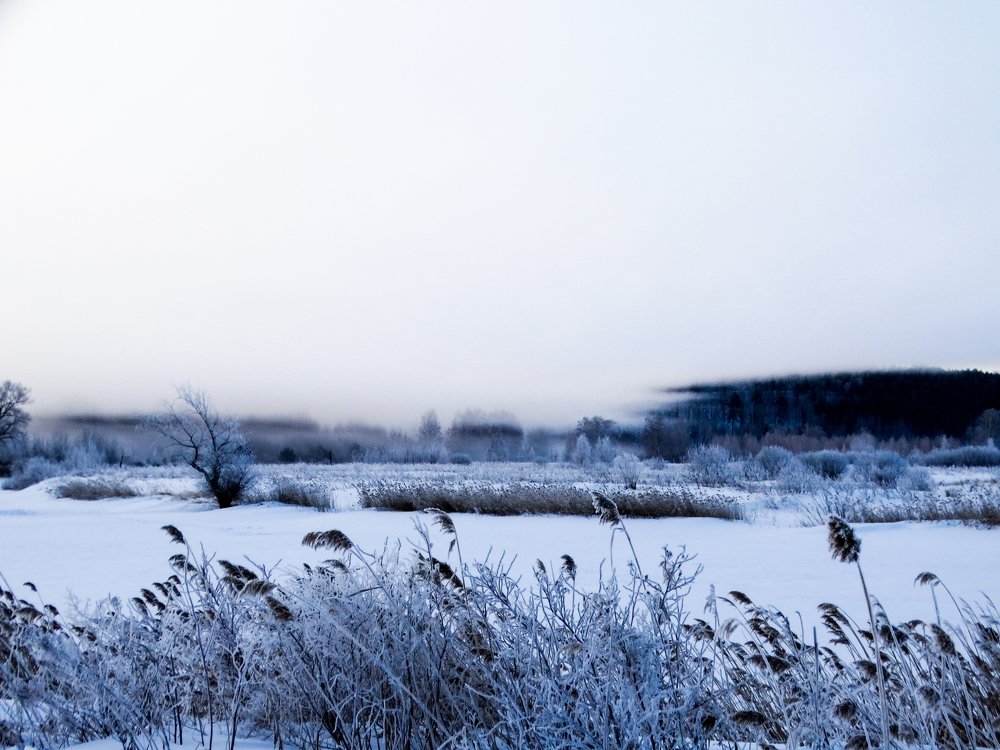 Photograph by Григорий Сергеевич