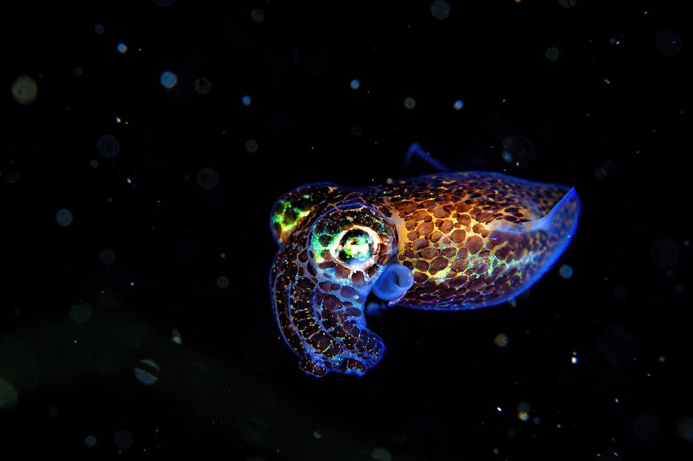 Фотография автора Нарчук Андрей