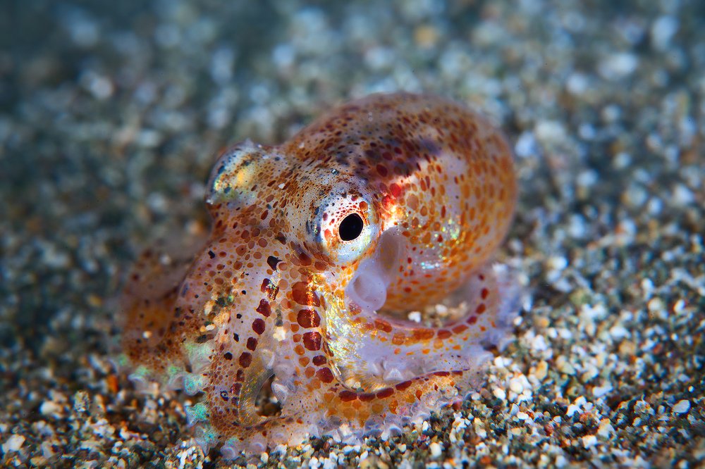 Фотография автора Нарчук Андрей