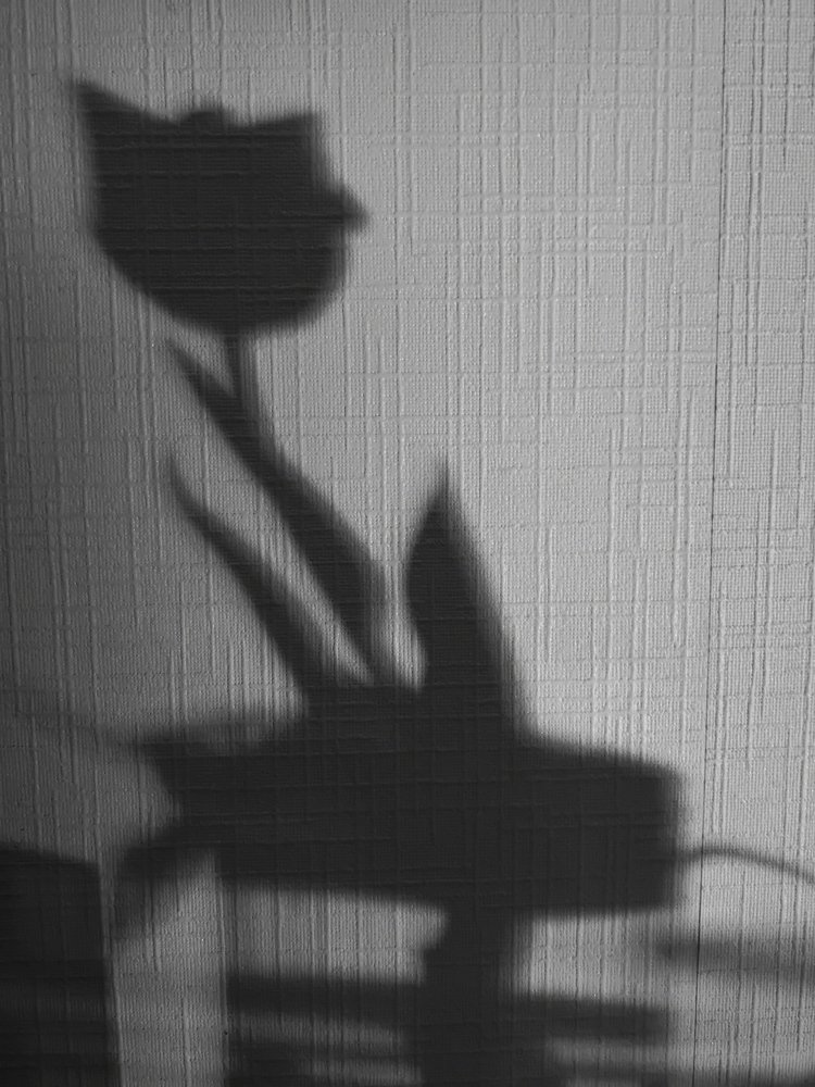 Photograph by Ирина Алексеевская