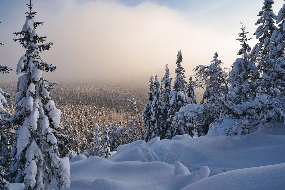 Photograph by Николай Алехин