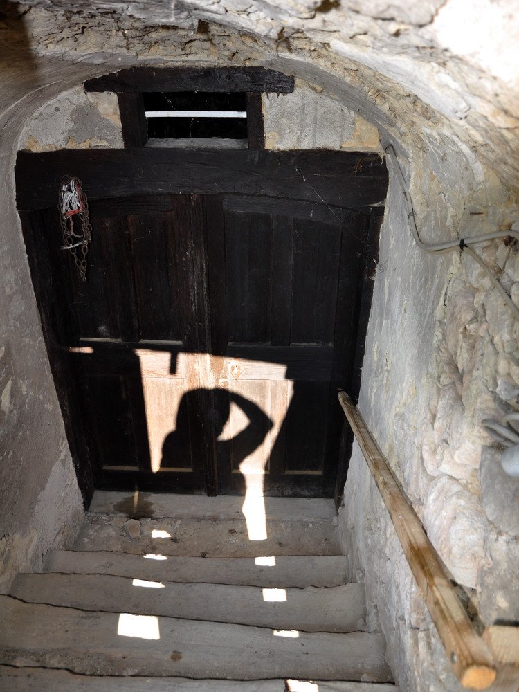 Photograph by Bojan Senet