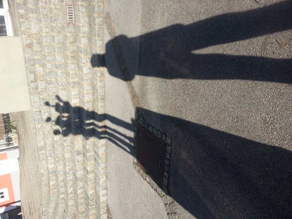 Photograph by Bojan Senet