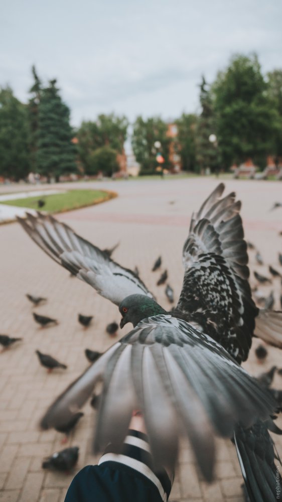 Photograph by Алексей Платунов