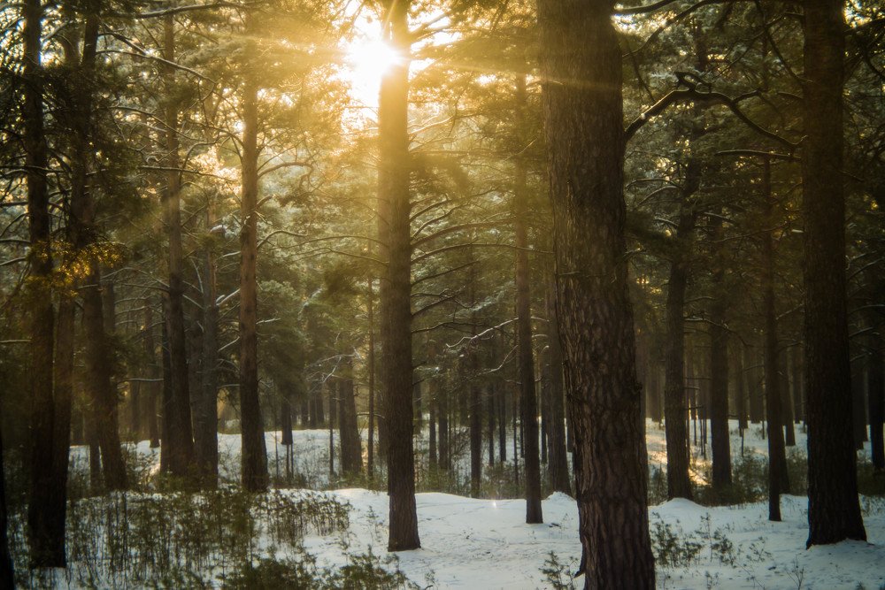 Photograph by Наталья Лещинская