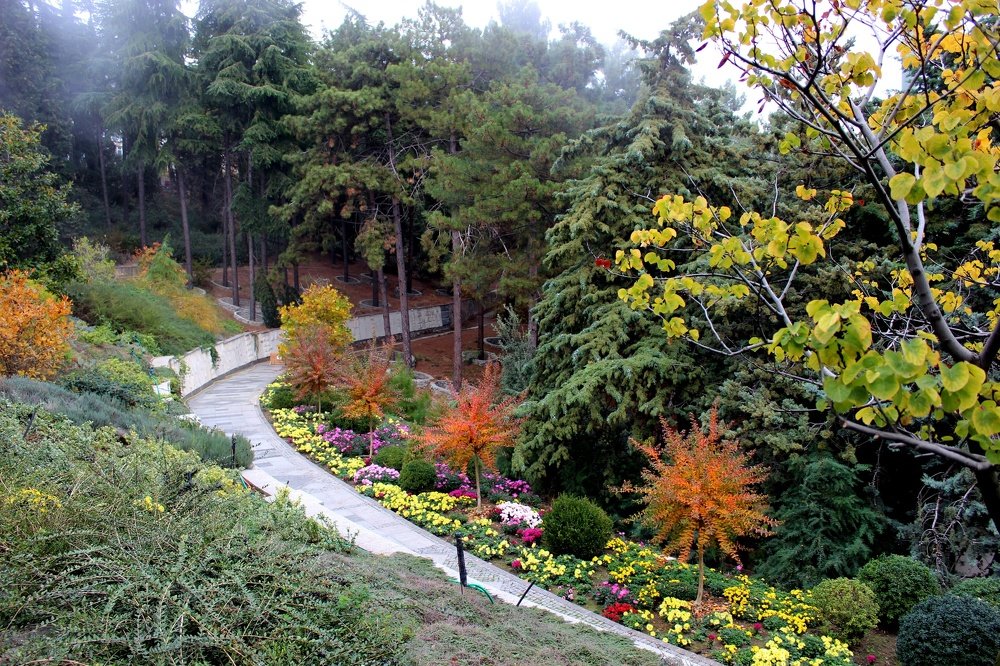 Photograph by Татьяна Пальчикова