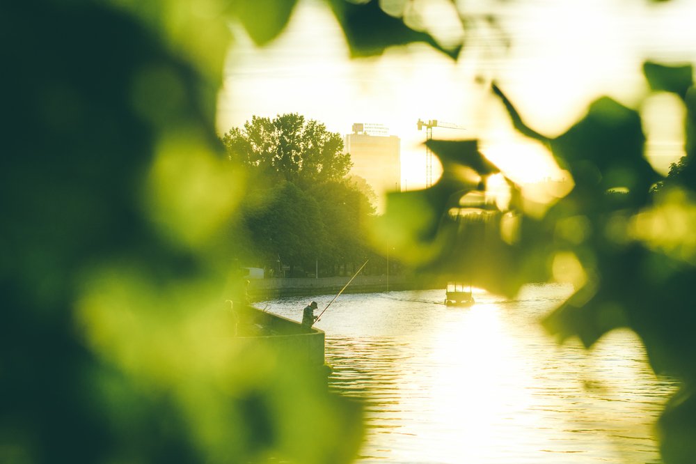 Photograph by irene anucci