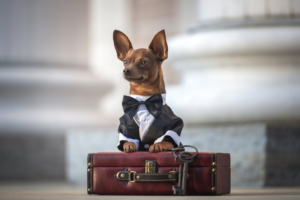 Photograph by Irina Kovaleva