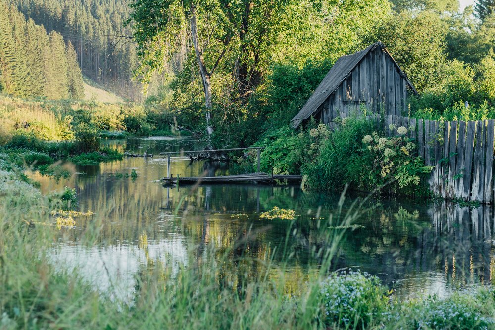 Photograph by irene anucci