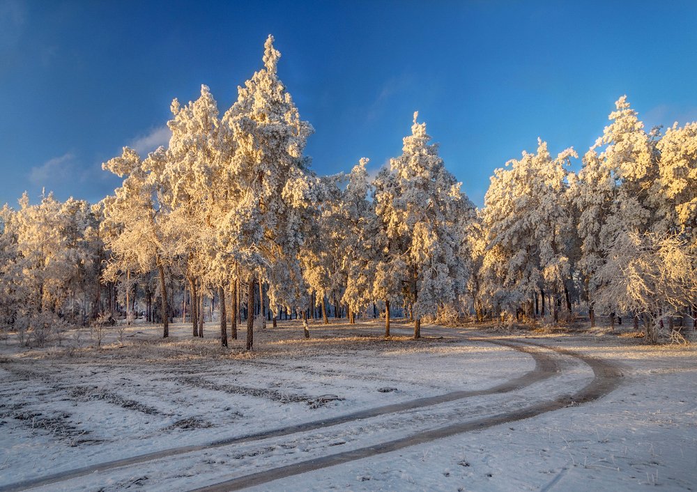 Photograph by Александр Белянский