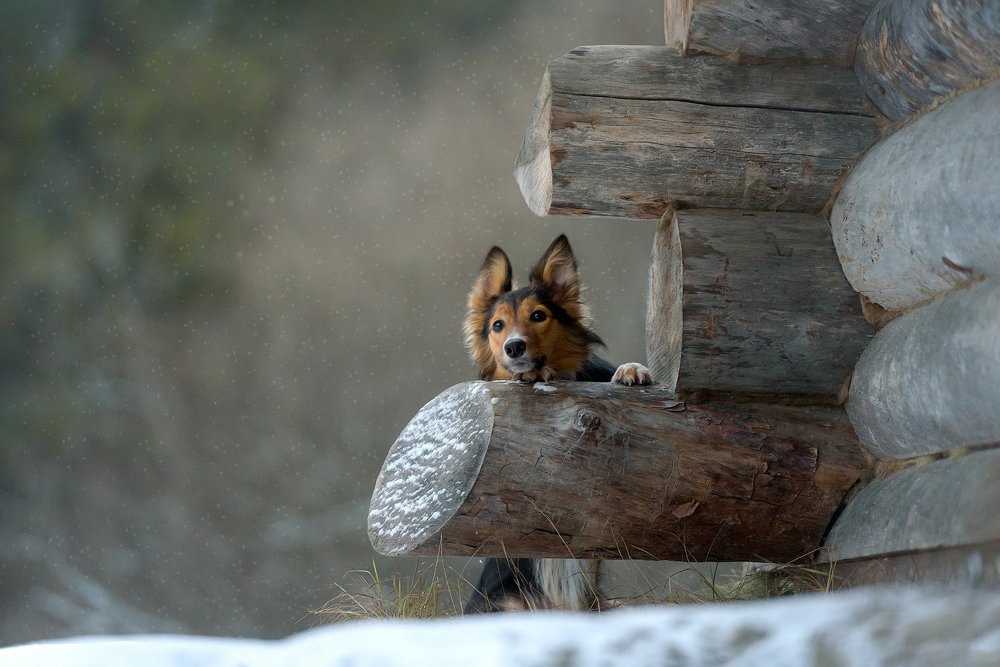 Photograph by Irina Kovaleva