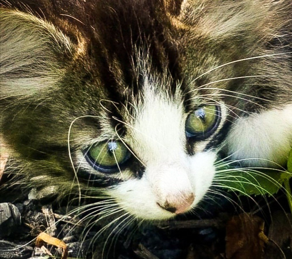 Фотография автора Валентина Рихмаер