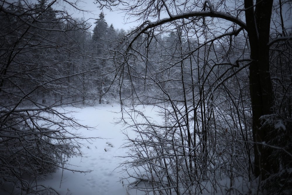 Photograph by Наталья Матвеенко