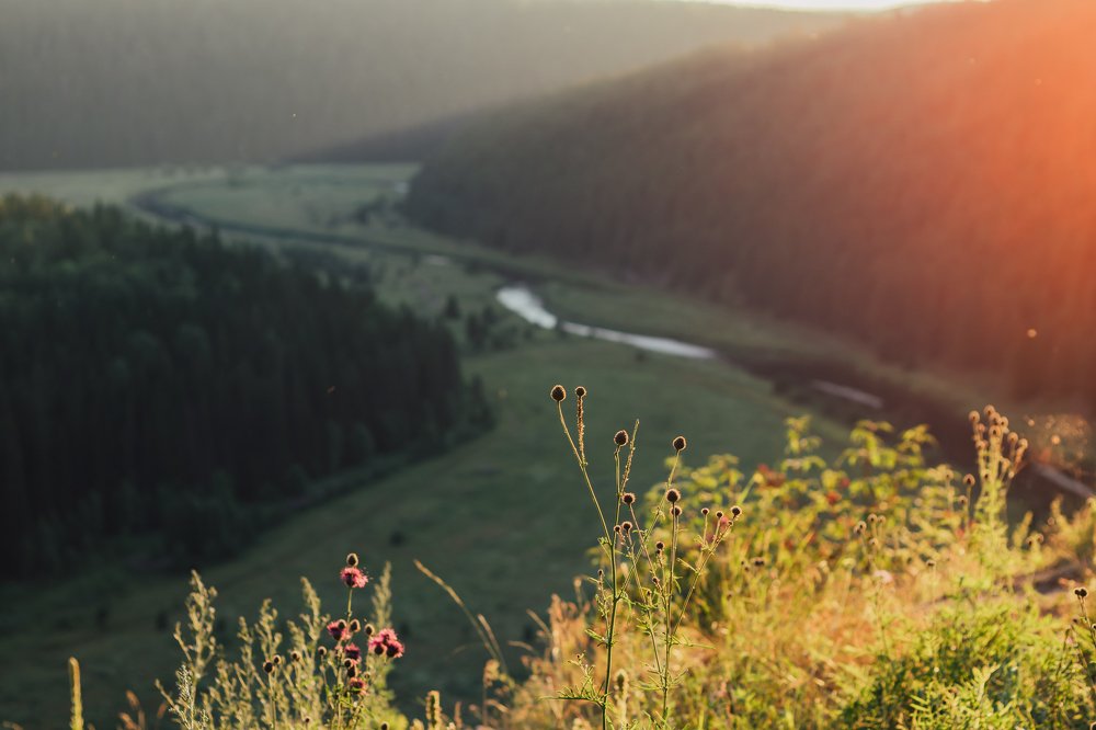 Photograph by irene anucci