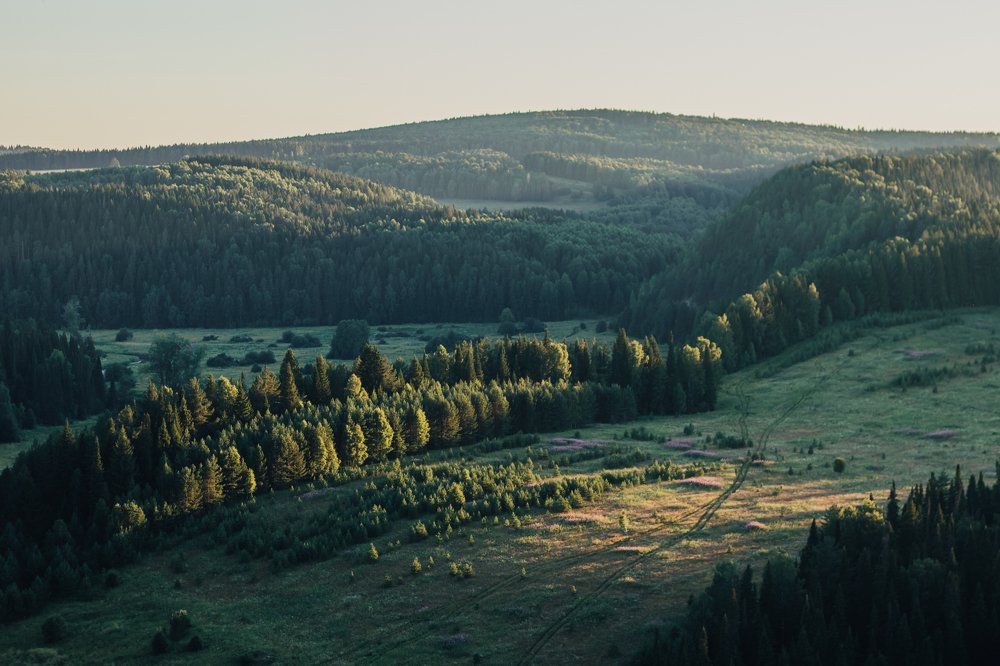 Photograph by irene anucci