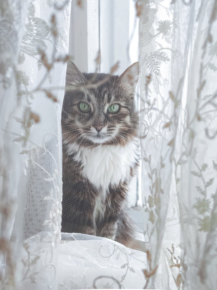 Photograph by Алеся Писнова