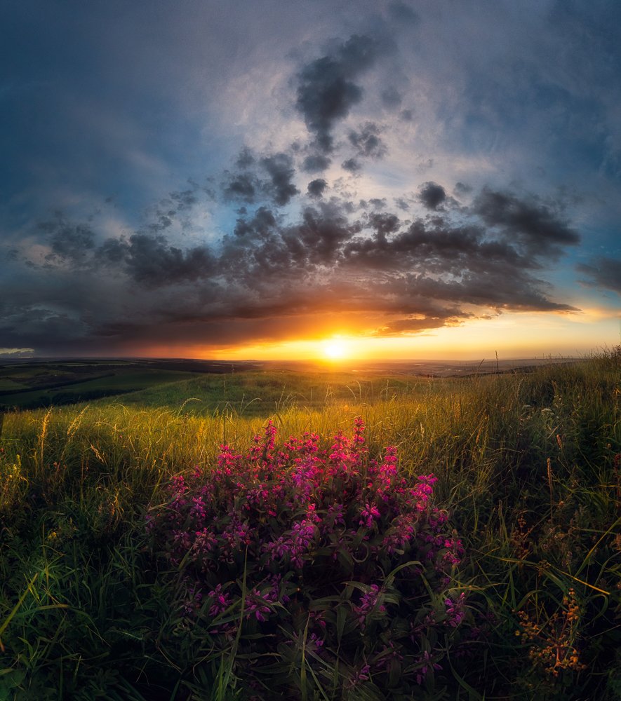 Распустилось лето...