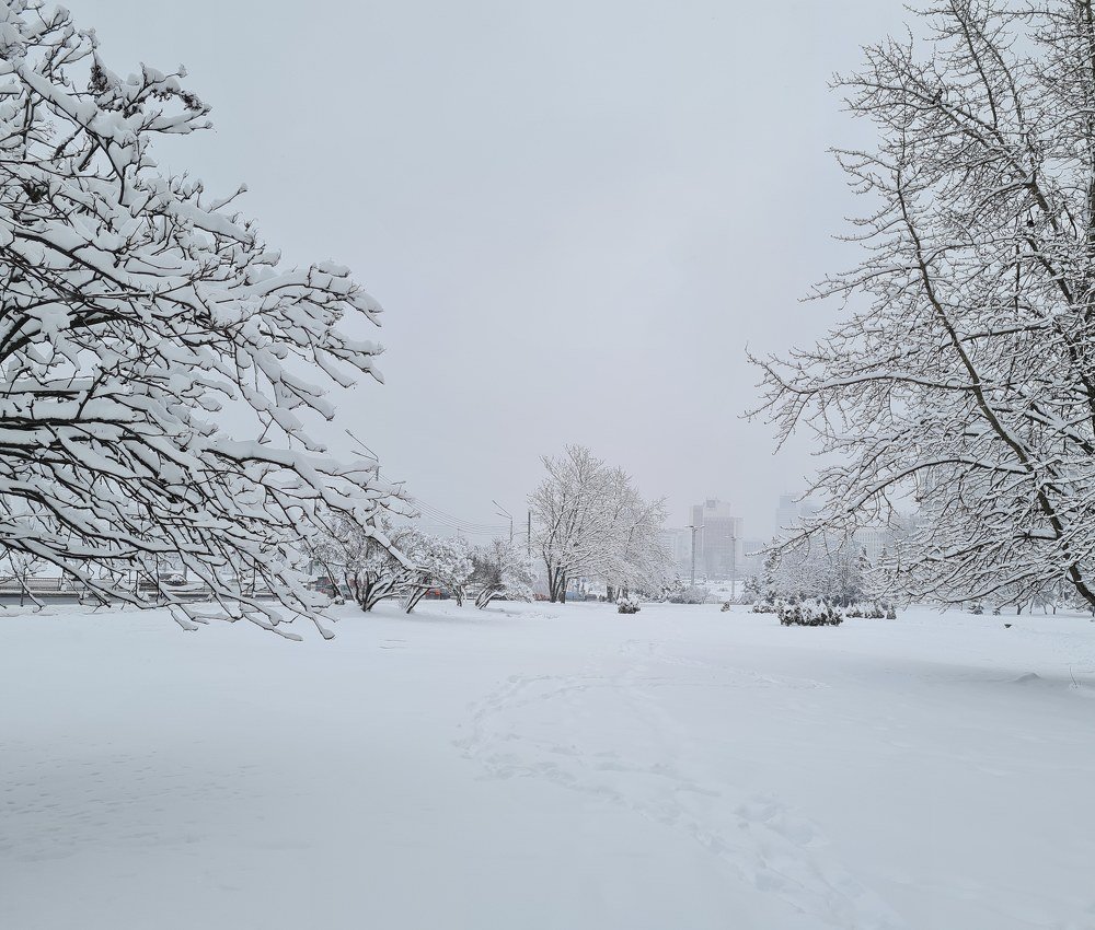 Photograph by Елена Никитюк