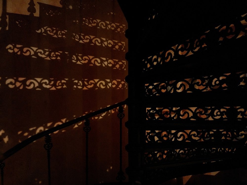 Photograph by Jelena Bogdanova