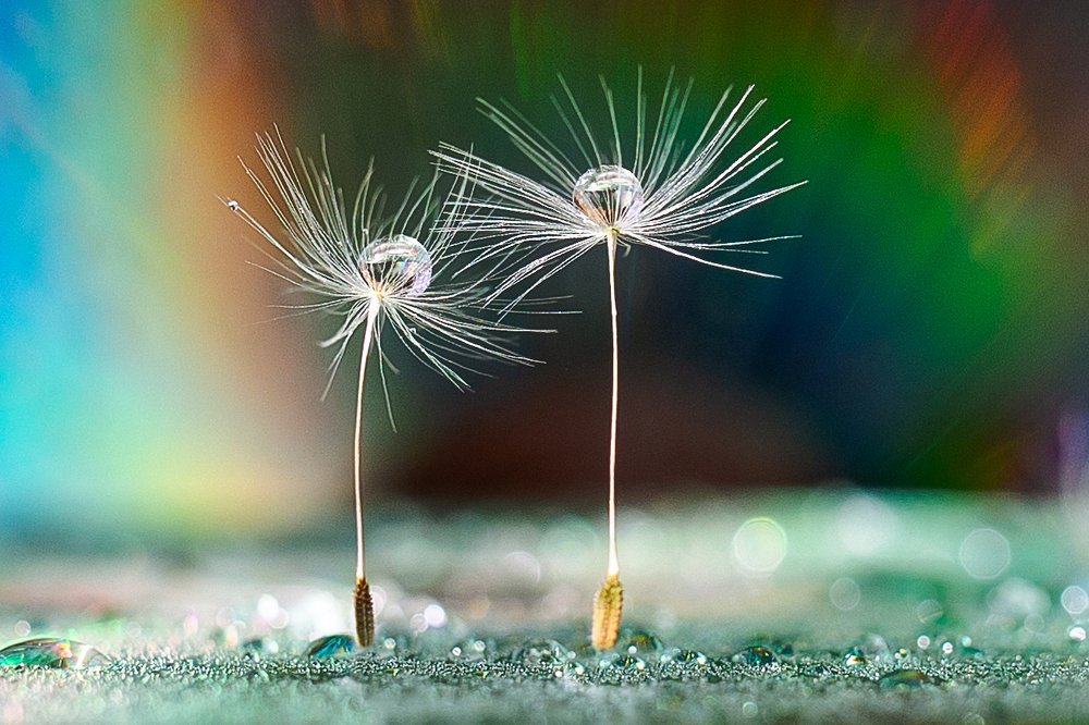 Photograph by Алена Зотова