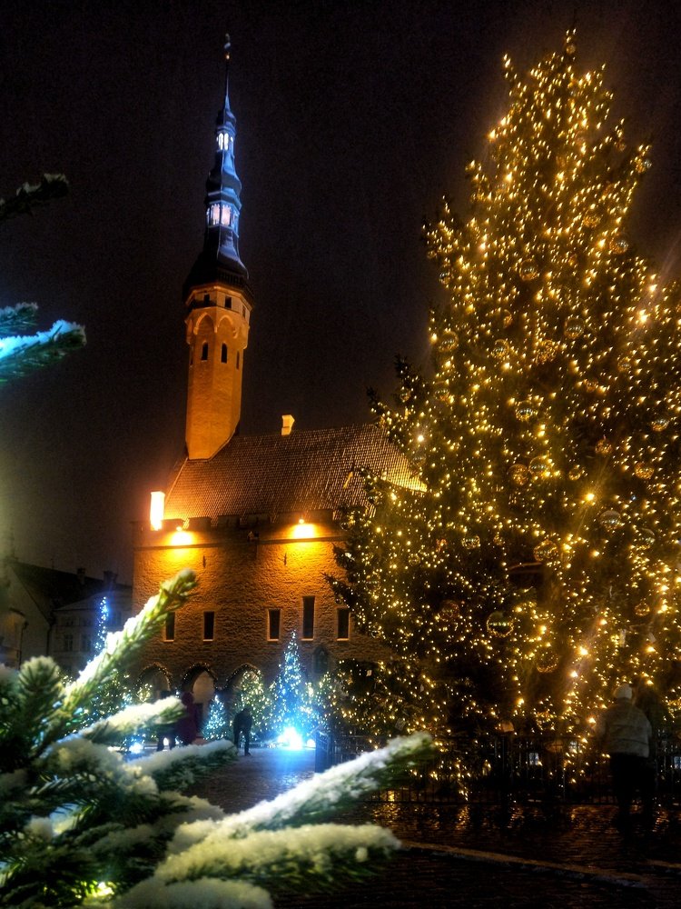 Photograph by Jelena Bogdanova