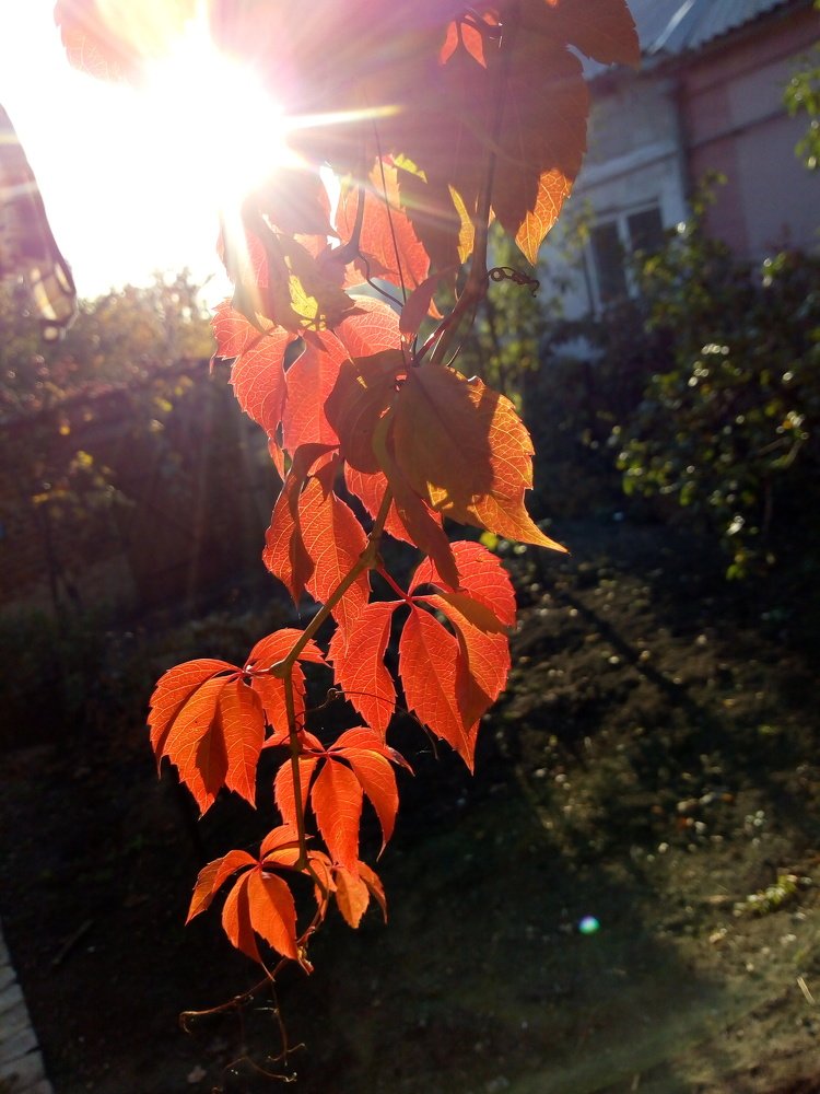 Photograph by Татьяна Пальчикова