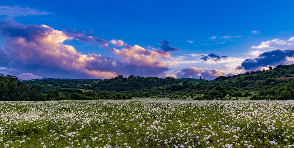 Photograph by Alex Kalpus