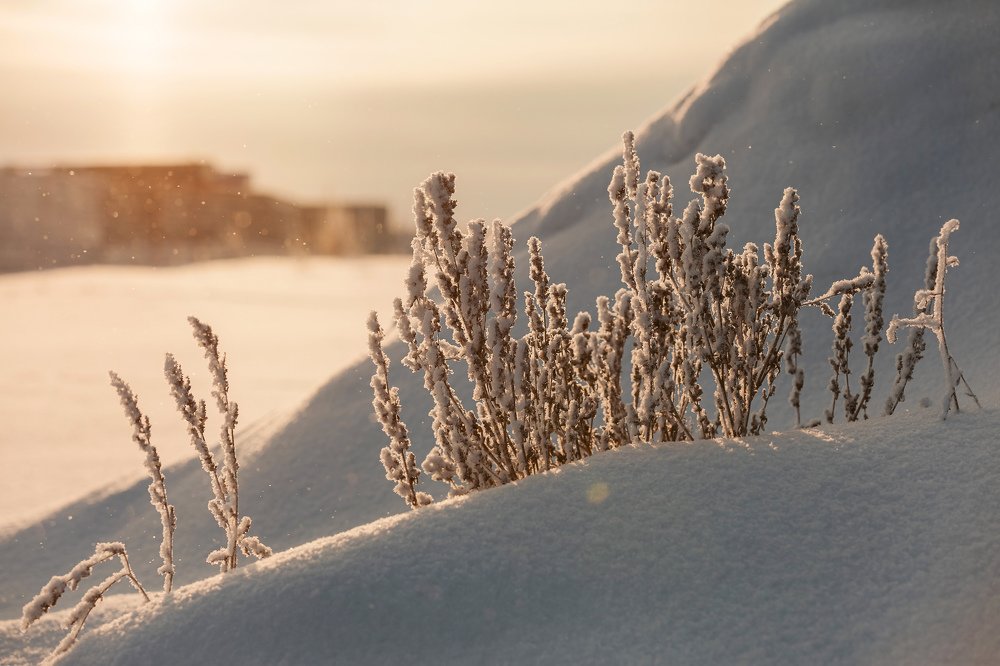 Photograph by Екатерина Рекина
