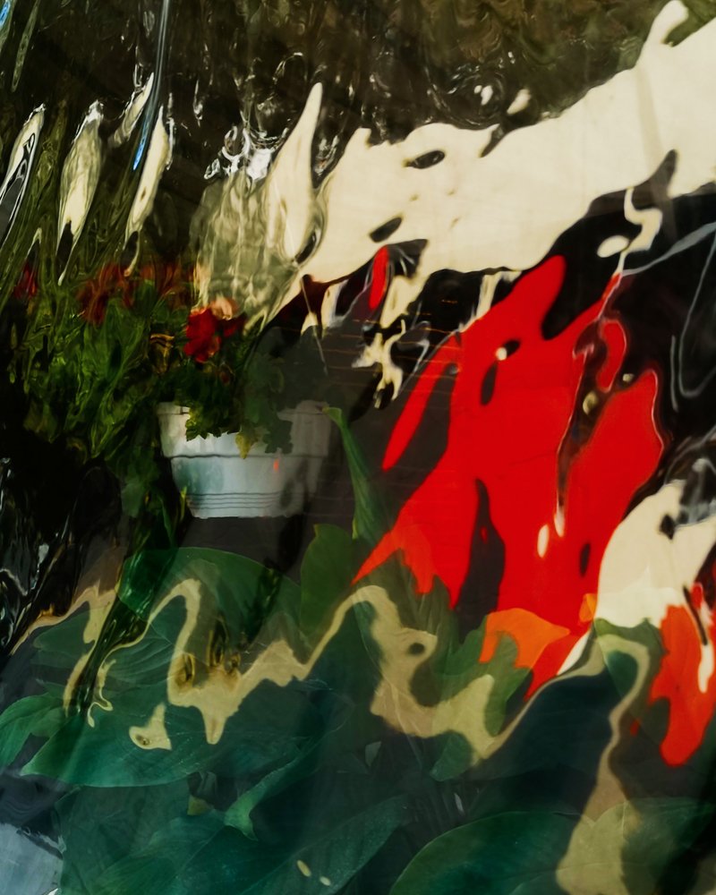 Photograph by Виктория Лихолет