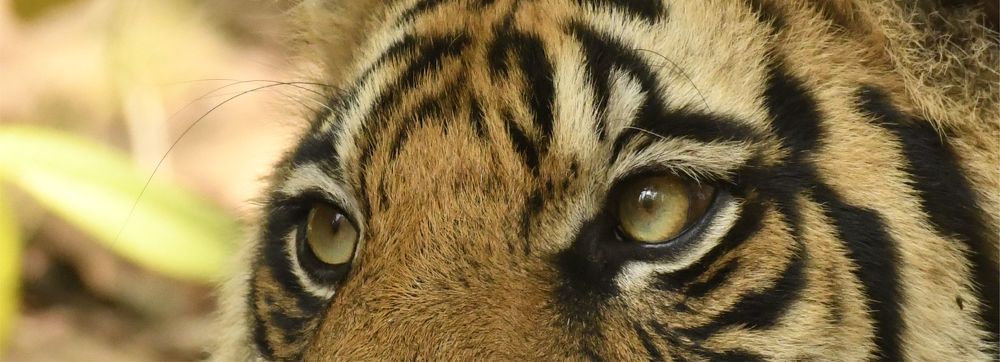 Photograph by Preet saluja