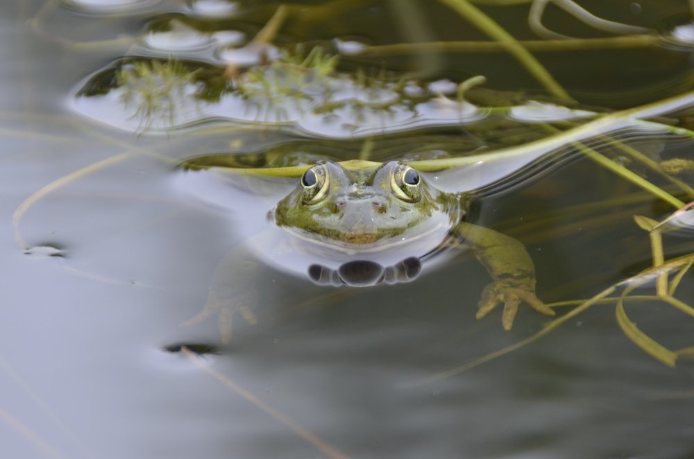 Photograph by Николай Соколовский