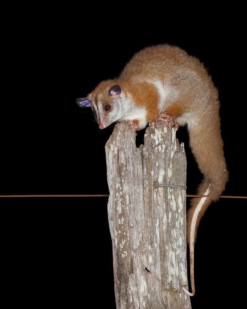 Photograph by Jefferson R O Silva