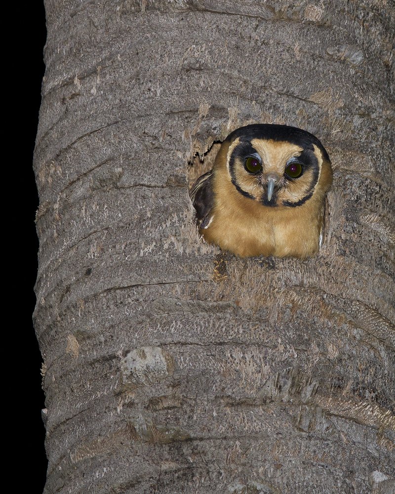 Photograph by Jefferson R O Silva