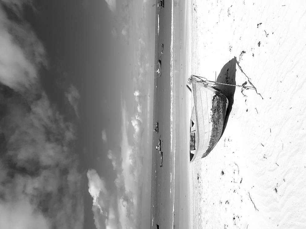 Photograph by Fernando Monari