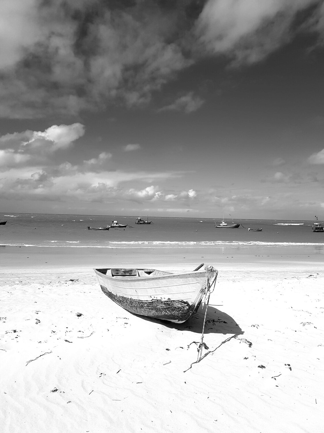 Photo #5500916