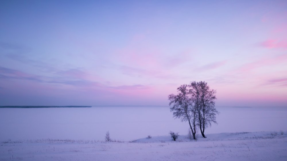 Зимний берег