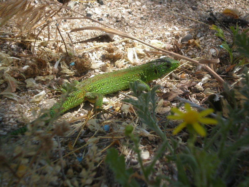 Photograph by Татьяна Пальчикова