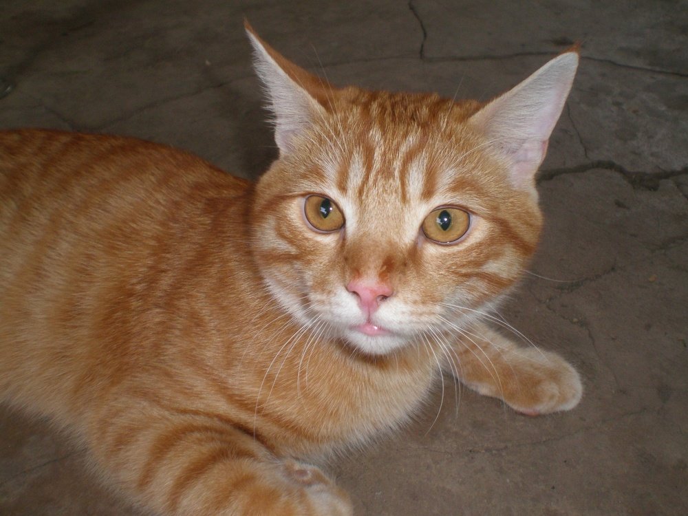 Photograph by Татьяна Пальчикова