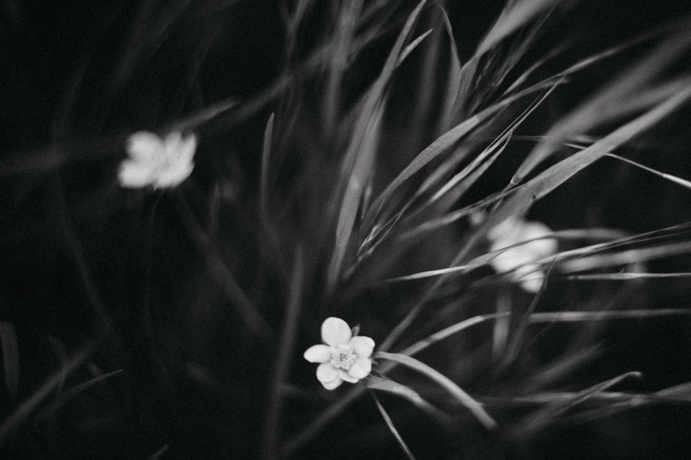 Photograph by Irena Raduga