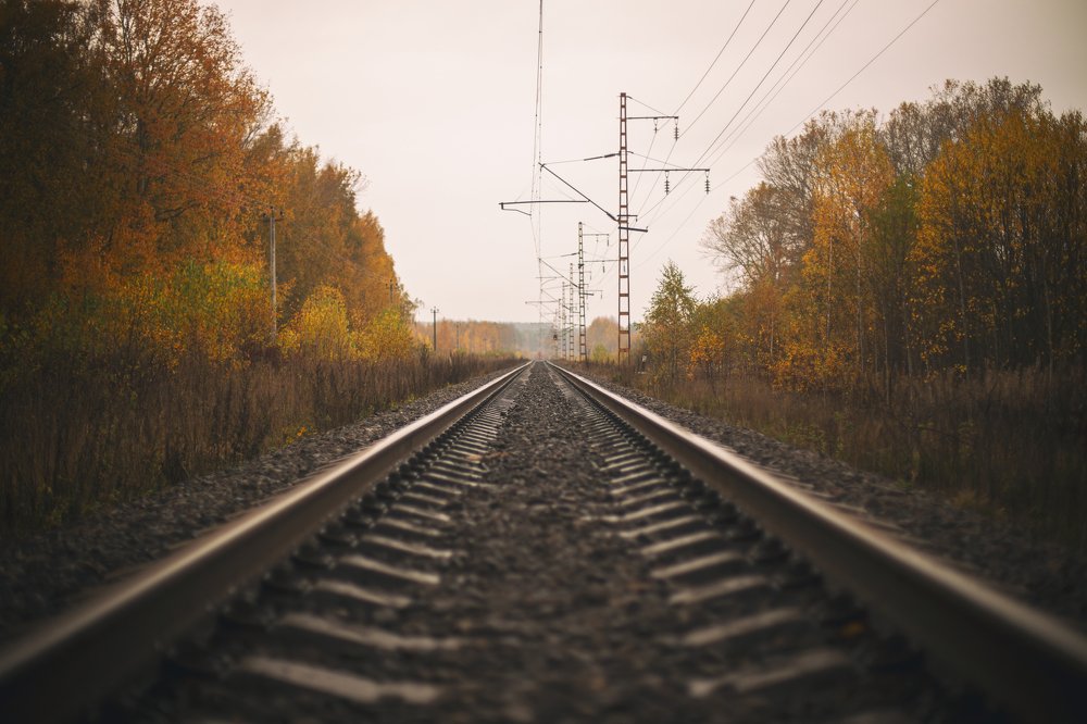 Photograph by ЕВГЕНИЙ СКАЛОЗУБОВ