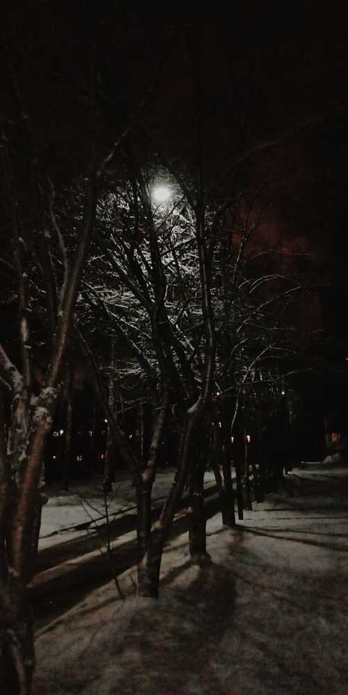 Photograph by Снежана Шепель