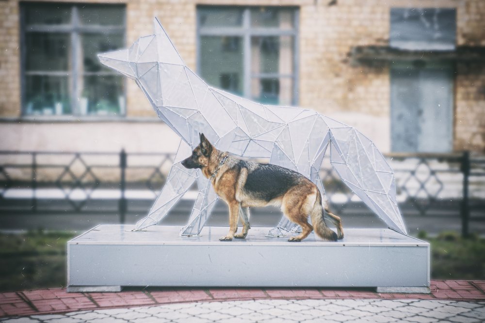 Photograph by ЕВГЕНИЙ СКАЛОЗУБОВ