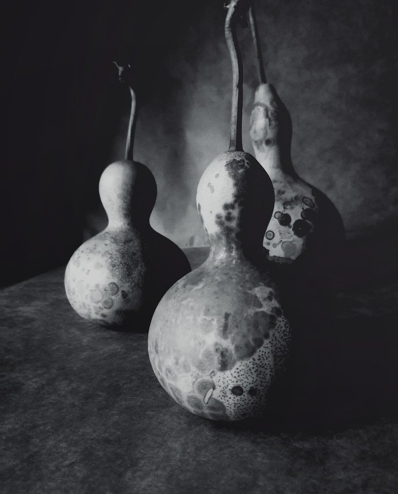 Натюрморт с тыквами