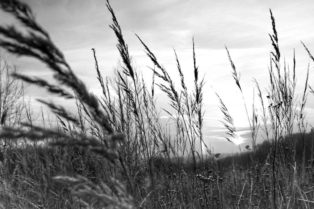 Рассвет в декабре