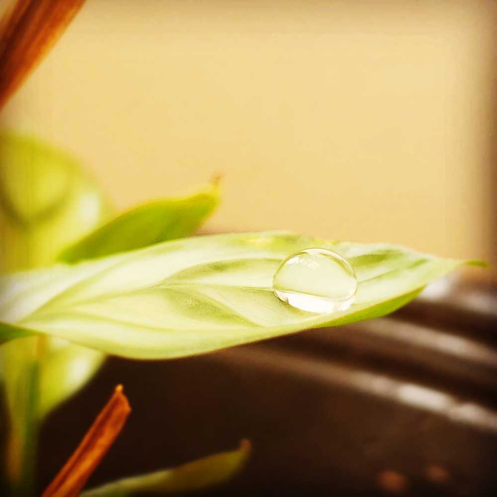 Photograph by Luciana Moyano